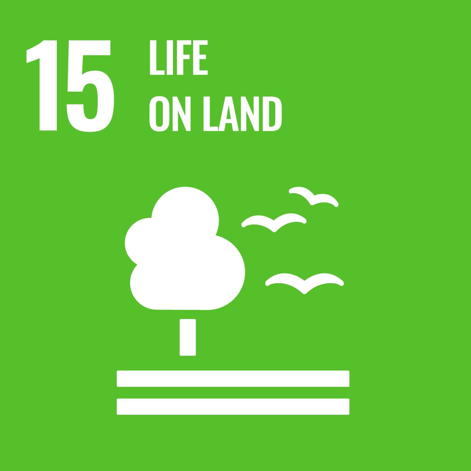 SDG 4